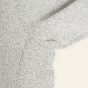 SUPREME シュプリーム 15SS Disrupt Hooded Sweatshirt Gray スウェットパーカー 灰 Size 【L】 【中古品-良い】 20801909