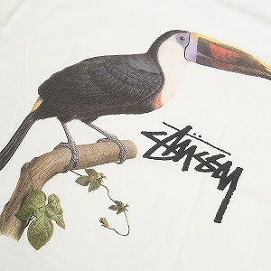STUSSY ステューシー 24SS TOUCAN TEE WHITE Tシャツ 白 Size 【M】 【新古品・未使用品】 20802534