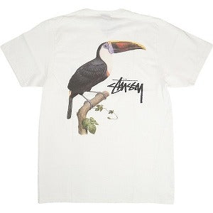 STUSSY ステューシー 24SS TOUCAN TEE WHITE Tシャツ 白 Size 【M】 【新古品・未使用品】 20802534