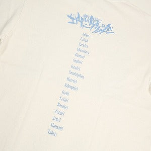 SAINT MICHAEL セント マイケル ×EVANGELION 24SS EV_SS TEE/SHINJI/WHITE Tシャツ 白 Size 【L】 【新古品・未使用品】 20803134