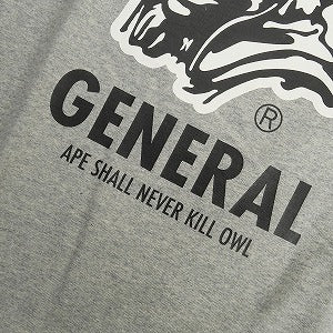 A BATHING APE ア ベイシング エイプ ×OVO GENERALプリントTシャツ 灰 Size 【L】 【新古品・未使用品】 20804417