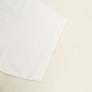 STUSSY ステューシー ×Nexus 7 札幌チャプト5周年スカルプリントTシャツ 白 Size 【M】 【新古品・未使用品】 20804423