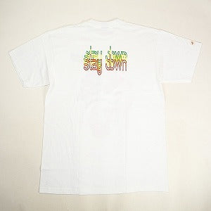 STUSSY ステューシー STAY DOWN TEE WHITE Tシャツ 白 Size 【L】 【新古品・未使用品】 20804432