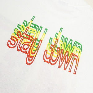 STUSSY ステューシー STAY DOWN TEE WHITE Tシャツ 白 Size 【L】 【新古品・未使用品】 20804432