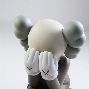 KAWS カウズ ×MEDICOM TOY COMPANION Passing Through フィギュア 2013年モデル 茶 Size 【フリー】 【中古品-ほぼ新品】 20808095