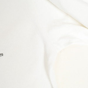 STUSSY ステューシー OFFERING LS TEE WHITE ロンT 白 Size 【L】 【新古品・未使用品】 20809170