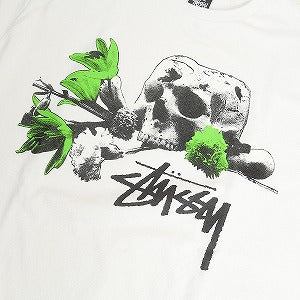 STUSSY ステューシー OFFERING LS TEE WHITE ロンT 白 Size 【L】 【新古品・未使用品】 20809170