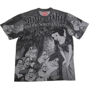 SUPREME シュプリーム 24AW Snow White S/S Top Grey Tシャツ 灰 Size 【M】 【新古品・未使用品】 20811929