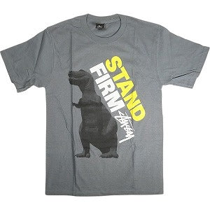 STUSSY ステューシー STAND FIRM TEE GREY Tシャツ 灰 Size 【S】 【新古品・未使用品】 20812923