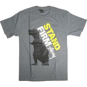 STUSSY ステューシー STAND FIRM TEE GREY Tシャツ 灰 Size 【M】 【新古品・未使用品】 20812924