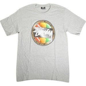 STUSSY ステューシー CHROME DOT TEE GREY Tシャツ 灰 Size 【S】 【新古品・未使用品】 20813010