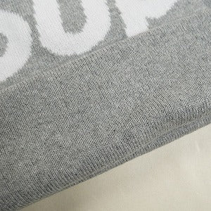 SUPREME シュプリーム 24AW Big Logo Beanie Heather Grey ビーニー 灰 Size 【フリー】 【新古品・未使用品】 20814189