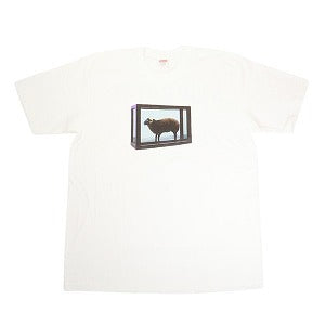 SUPREME シュプリーム ×Damian Hirst Tee 25SS Tee White Tシャツ 白 Size 【XL】 【新古品・未使用品】 20815682