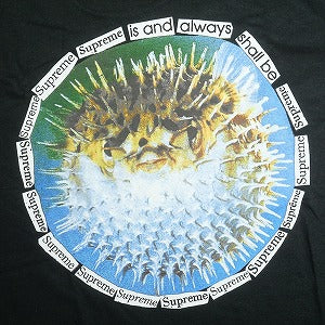 SUPREME シュプリーム 23SS Blowfish Tee Black Tシャツ 黒 Size 【M】 【新古品・未使用品】 20818161