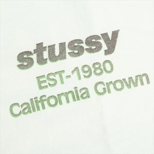 STUSSY ステューシー 25SS CALIFORNIA GROWN TEE PIGMENT DYED NATURAL Tシャツ 白 Size 【S】 【新古品・未使用品】 20818367