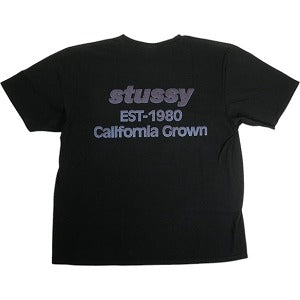 STUSSY ステューシー 25SS CALIFORNIA GROWN TEE PIGMENT DYED BLACK Tシャツ 黒 Size 【L】 【新古品・未使用品】 20818370