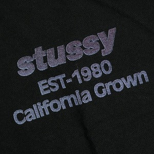 STUSSY ステューシー 25SS CALIFORNIA GROWN TEE PIGMENT DYED BLACK Tシャツ 黒 Size 【L】 【新古品・未使用品】 20818370