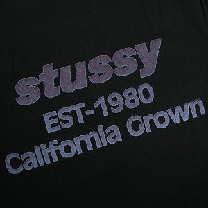 STUSSY ステューシー 25SS CALIFORNIA GROWN TEE PIGMENT DYED BLACK Tシャツ 黒 Size 【L】 【新古品・未使用品】 20818370