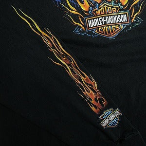VINTAGE ヴィンテージ Harley Davidson Eagle Flames LS Tee ロンT 黒 Size 【XL】 【中古品-良い】 20818596