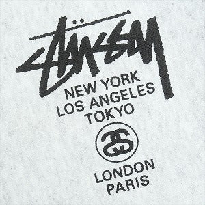 STUSSY ステューシー 25SS WORLD TOUR HOODIE ASH HEATHER パーカー 灰 Size 【L】 【新古品・未使用品】 20819003