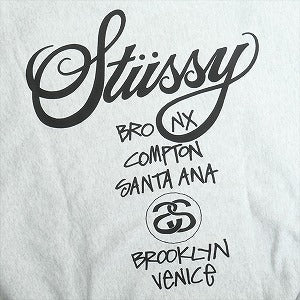 STUSSY ステューシー 25SS WORLD TOUR HOODIE ASH HEATHER パーカー 灰 Size 【L】 【新古品・未使用品】 20819003