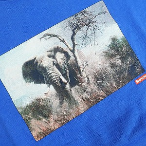 SUPREME シュプリーム 11SS Elephant Tee Royal Tシャツ 青 Size 【M】 【中古品-良い】 20819090