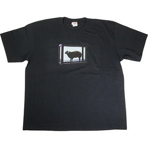 SUPREME シュプリーム ×Damian Hirst Tee 25SS Tee Black Tシャツ 黒 Size 【L】 【新古品・未使用品】 20819410