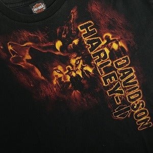 VINTAGE ヴィンテージ Harley Davidson Wolf Dice Texas Tee Tシャツ 黒 Size 【XXL】 【中古品-良い】 20819489