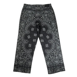 SUPREME シュプリーム 25SS Bandana Jacquard Baggy Jean Black デニムパンツ 黒 Size 【34】 【新古品・未使用品】 20819629