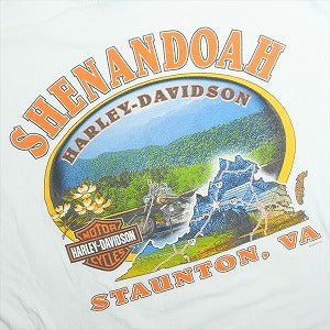 VINTAGE ヴィンテージ Harley Davidson ハーレーダビッドソン Red Flame LS Tee ロンT 白 Size 【L】 【中古品-良い】 20820106