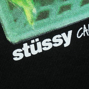 STUSSY ステューシー 25SS BERRIES TEE BLACK Tシャツ 黒 Size 【L】 【新古品・未使用品】 20820116