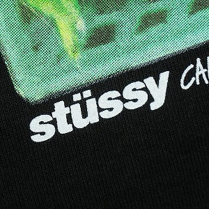 STUSSY ステューシー 25SS BERRIES TEE BLACK Tシャツ 黒 Size 【L】 【中古品-良い】 20820116
