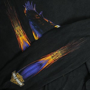 VINTAGE ヴィンテージ Harley Davidson ハーレーダビッドソン Eagle Purple Flame LS Tee ロンT 黒 Size 【XXL】 【中古品-良い】 20821292
