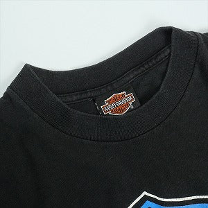 VINTAGE ヴィンテージ Harley Davidson ハーレーダビッドソン Blue Flame LS Tee ロンT 黒 Size 【L】 【中古品-良い】 20821294
