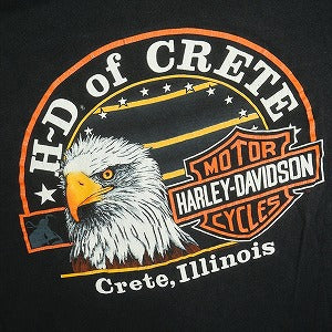 VINTAGE ヴィンテージ Harley Davidson ハーレーダビッドソン Blue Flame LS Tee ロンT 黒 Size 【L】 【中古品-良い】 20821294