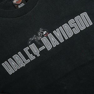 VINTAGE ヴィンテージ Harley Davidson ハーレーダビッドソン Spider Web LS Tee ロンT 黒 Size 【M】 【中古品-良い】 20821667