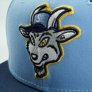SUPREME シュプリーム 2SS Goat New Era Light Blue ニューエラキャップ 水色 Size 【7　1/2(L)】 【中古品-ほぼ新品】 20822120