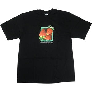 STUSSY ステューシー 25SS BERRIES TEE BLACK Tシャツ 黒 Size 【S】 【新古品・未使用品】 20822474