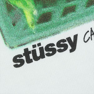 STUSSY ステューシー 25SS BERRIES TEE WHITE Tシャツ 白 Size 【L】 【新古品・未使用品】 20822476