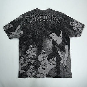 SUPREME シュプリーム 24AW Snow White S/S Top Grey Tシャツ 灰 Size 【L】 【中古品-非常に良い】 20822969