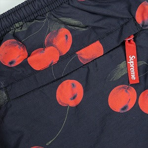 SUPREME シュプリーム 19SS Nylon Water Short Black Cherry ショーツ 黒 Size 【M】 【新古品・未使用品】 20823044