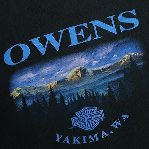 VINTAGE ヴィンテージ Harley-Davidson ハーレーダビッドソン Eaglle Mountain Tee Tシャツ 黒 Size 【XL】 【中古品-良い】 20823169