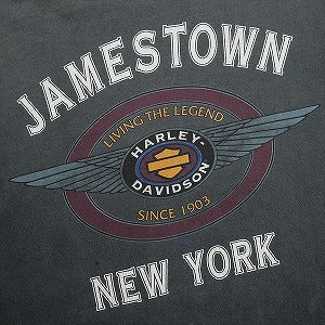 VINTAGE ヴィンテージ Harley-Davidson ハーレーダビッドソン Eagle Blood Tee Tシャツ 黒 Size 【XL相当】 【中古品-良い】 20823178