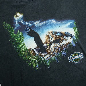 VINTAGE ヴィンテージ Harley-Davidson ハーレーダビッドソン Eagle Snowy Mountain Tee Tシャツ 黒 Size 【XL】 【中古品-良い】 20823182