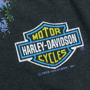VINTAGE ヴィンテージ Harley-Davidson ハーレーダビッドソン Eagle Snowy Mountain Tee Tシャツ 黒 Size 【XL】 【中古品-良い】 20823182