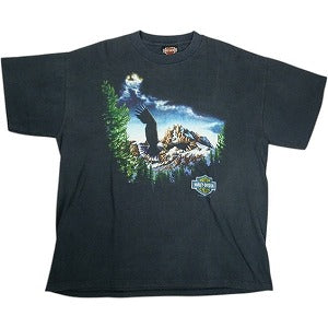 VINTAGE ヴィンテージ Harley-Davidson ハーレーダビッドソン Eagle Snowy Mountain Tee Tシャツ 黒 Size 【XL】 【中古品-良い】 20823182