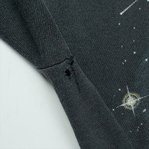 VINTAGE ヴィンテージ Harley-Davidson ハーレーダビッドソン Wolf Aurora Tee Tシャツ 黒 Size 【M】 【中古品-良い】 20823183