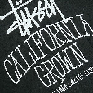 STUSSY ステューシー 25SS CALI GROWN TEE PIGMENT DYED Faded Black Tシャツ 黒 Size 【L】 【新古品・未使用品】 20823908