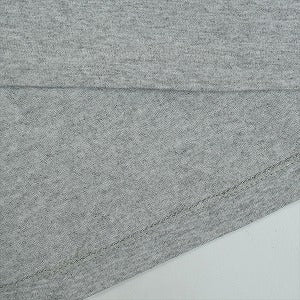 STUSSY ステューシー ×WTAPS Dog Tee Grey Tシャツ 灰 Size 【L】 【中古品-良い】 20824450