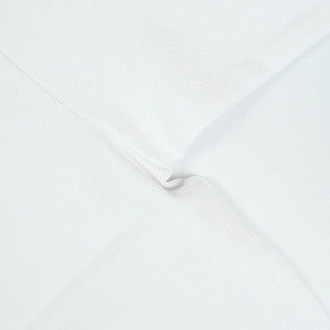A BATHING APE ア ベイシング エイプ ×KAWS Skatethd TEE White Tシャツ 白 Size 【L】 【新古品・未使用品】 20824464